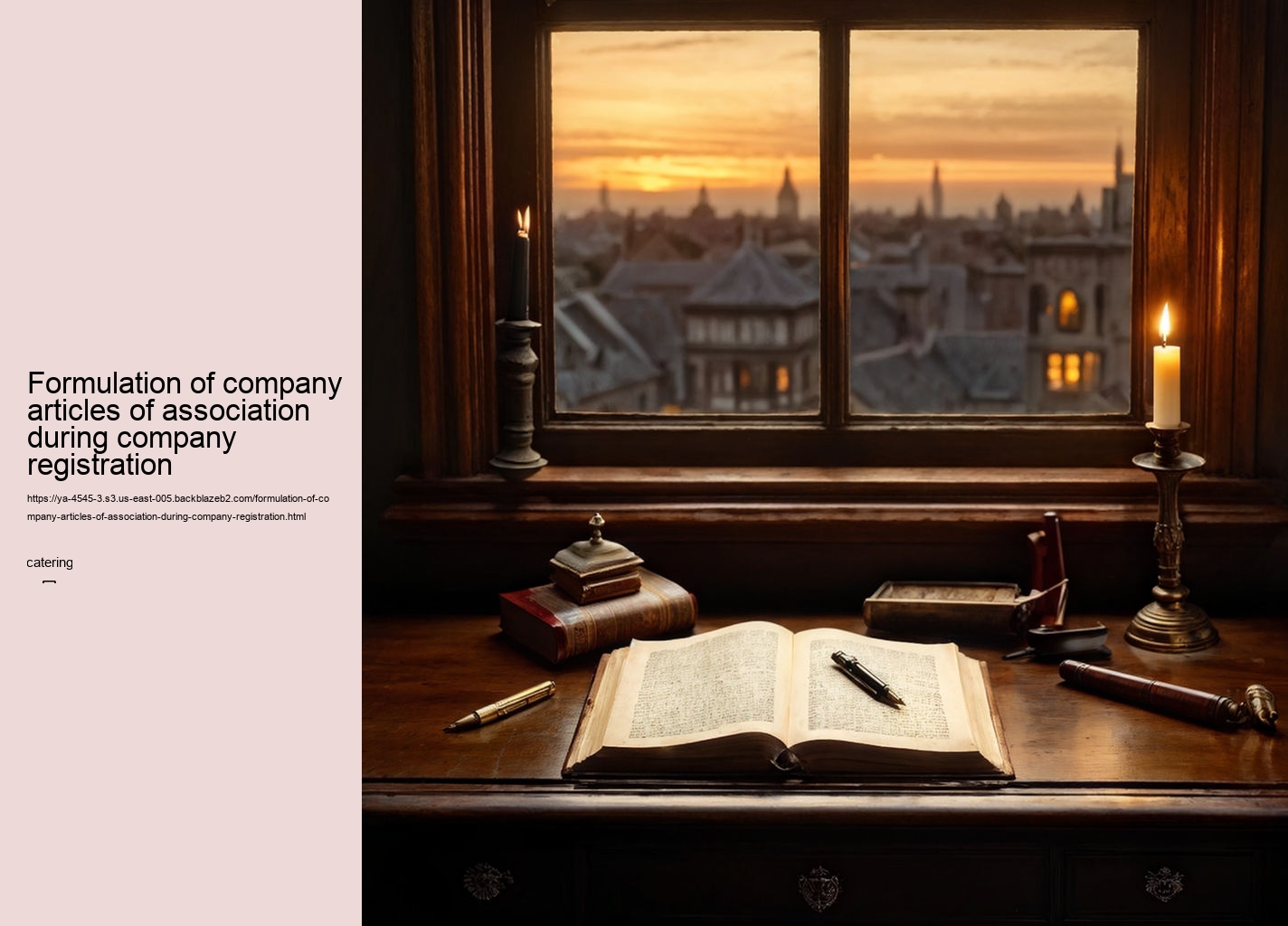 Formulation of company articles of association during company registration